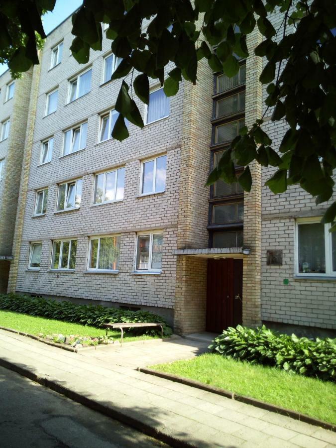 Ferienwohnung Nakvyne Anyksciu Centre Anykščiai Exterior foto